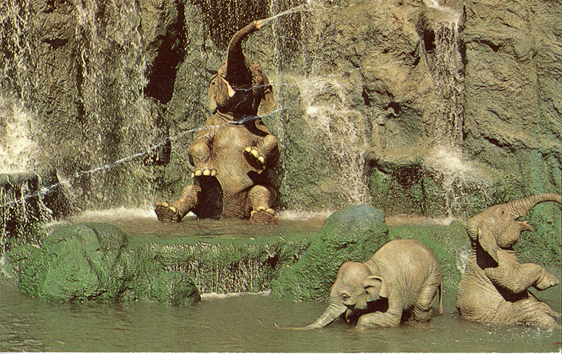postcard
